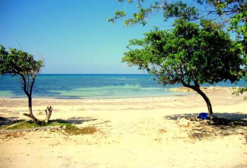 آپارتمان 1 خوابه همکف, Seacastles By The Beach/pool