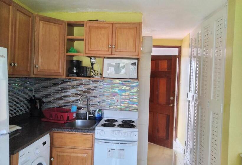 استودیوی استاندارد با چشمانداز دریا, Seacastles By The Beach/pool