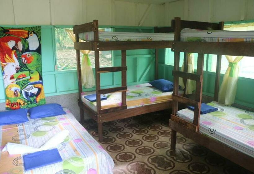 اتاق خانوادگی, Life For Life Hostel Drake Bay Home Of Sea Turtle Marine Conservation Project Osa Peninsula Near San