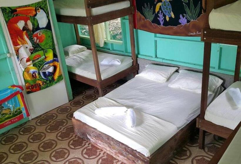 اتاق خانوادگی, Life For Life Hostel Drake Bay Home Of Sea Turtle Marine Conservation Project Osa Peninsula Near San