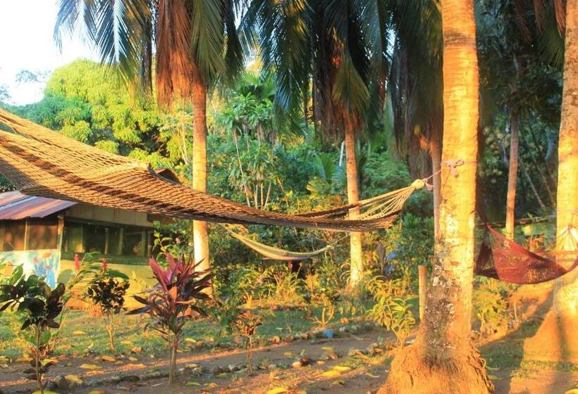 اتاق خانوادگی, Life For Life Hostel Drake Bay Home Of Sea Turtle Marine Conservation Project Osa Peninsula Near San