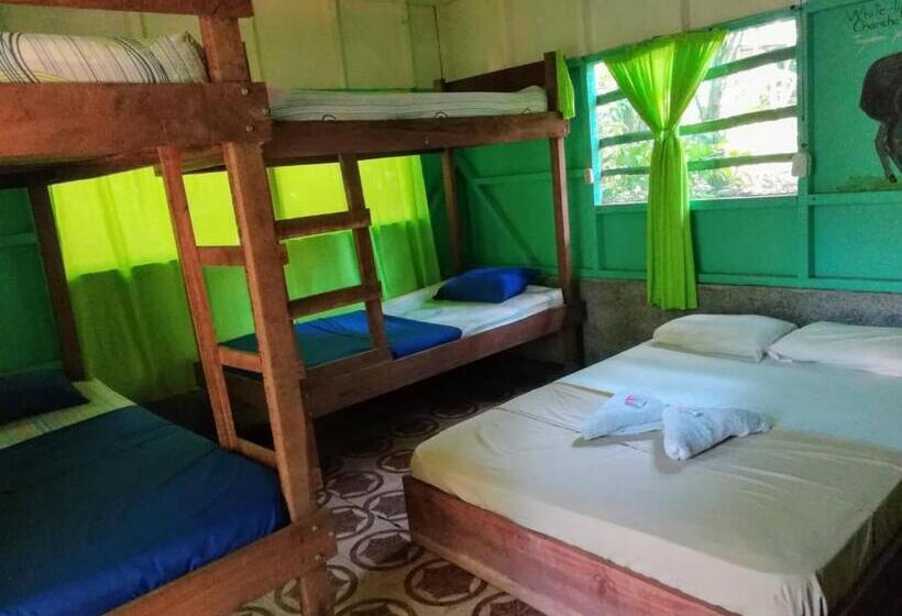 اتاق خانوادگی, Life For Life Hostel Drake Bay Home Of Sea Turtle Marine Conservation Project Osa Peninsula Near San