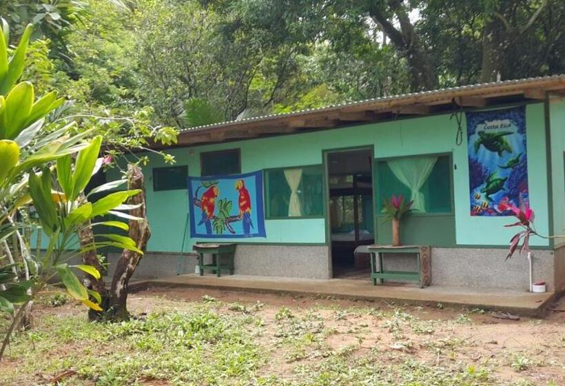 چادر با خدمات رفاهی استاندارد, Life For Life Hostel Drake Bay Home Of Sea Turtle Marine Conservation Project Osa Peninsula Near San