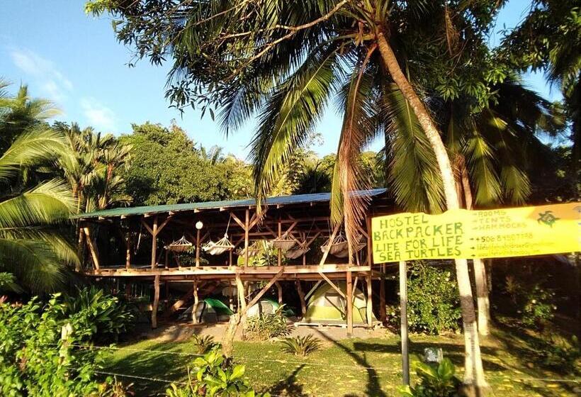 چادر با خدمات رفاهی استاندارد, Life For Life Hostel Drake Bay Home Of Sea Turtle Marine Conservation Project Osa Peninsula Near San