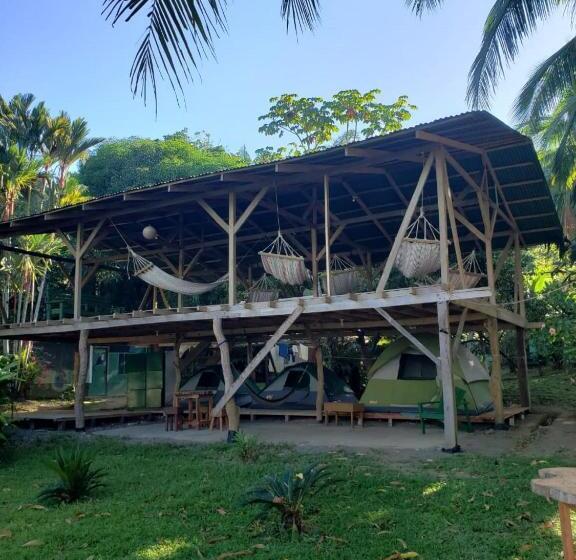چادر با خدمات رفاهی استاندارد, Life For Life Hostel Drake Bay Home Of Sea Turtle Marine Conservation Project Osa Peninsula Near San