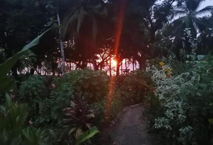 اتاق استاندارد چهار تخته, Life For Life Hostel Lodge Drake Bay Home Of Sea Turtle Marine Conservation Project Osa Peninsula Ne