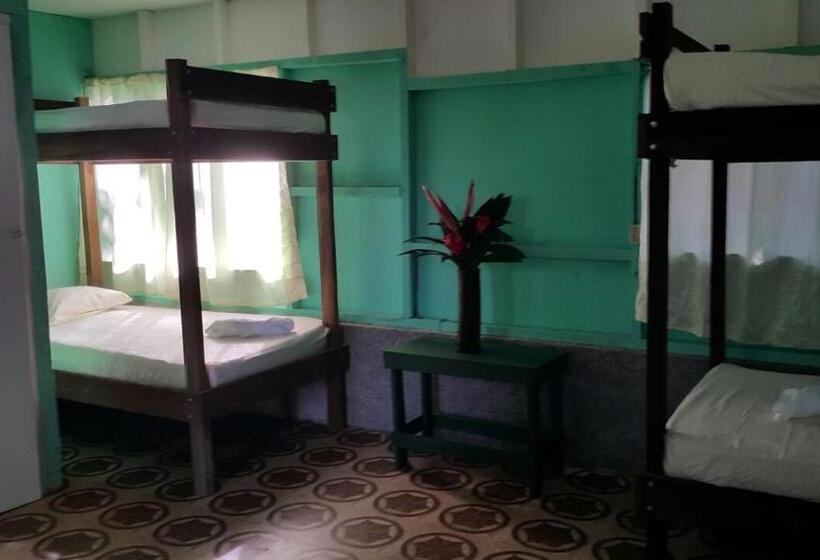اتاق استاندارد چهار تخته, Life For Life Hostel Drake Bay Home Of Sea Turtle Marine Conservation Project Osa Peninsula Near San