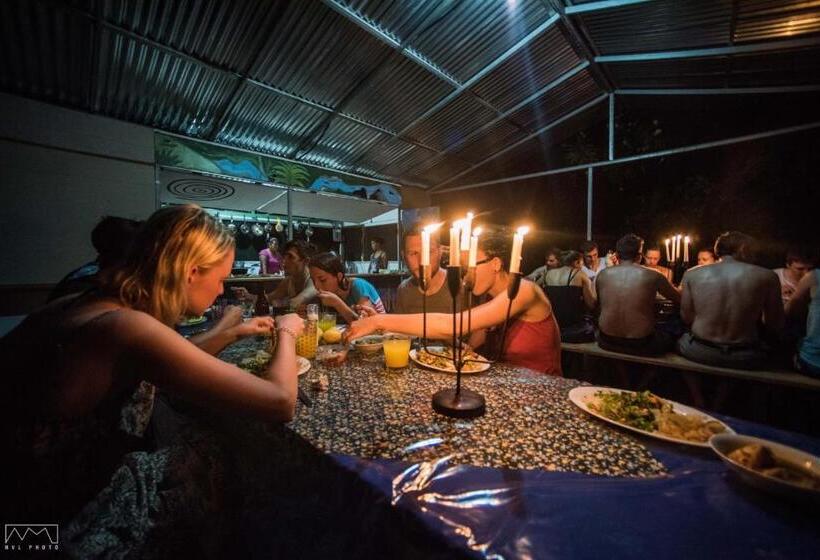 اتاق استاندارد چهار تخته, Life For Life Hostel Drake Bay Home Of Sea Turtle Marine Conservation Project Osa Peninsula Near San