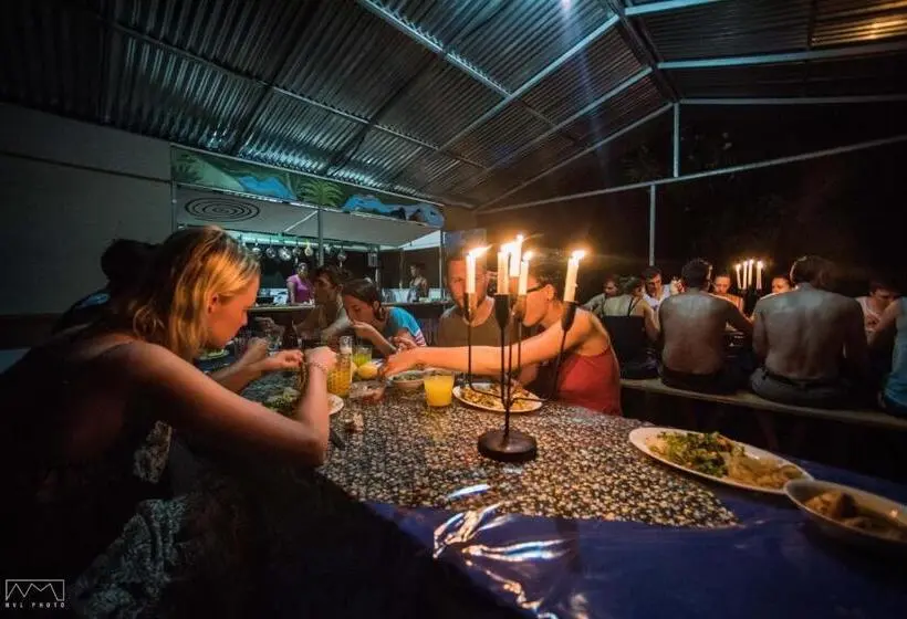 اتاق استاندارد چهار تخته, Life For Life Hostel Lodge Drake Bay Home Of Sea Turtle Marine Conservation Project Osa Peninsula Ne