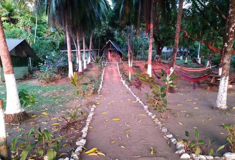 اتاق استاندارد چهار تخته, Life For Life Hostel Drake Bay Home Of Sea Turtle Marine Conservation Project Osa Peninsula Near San