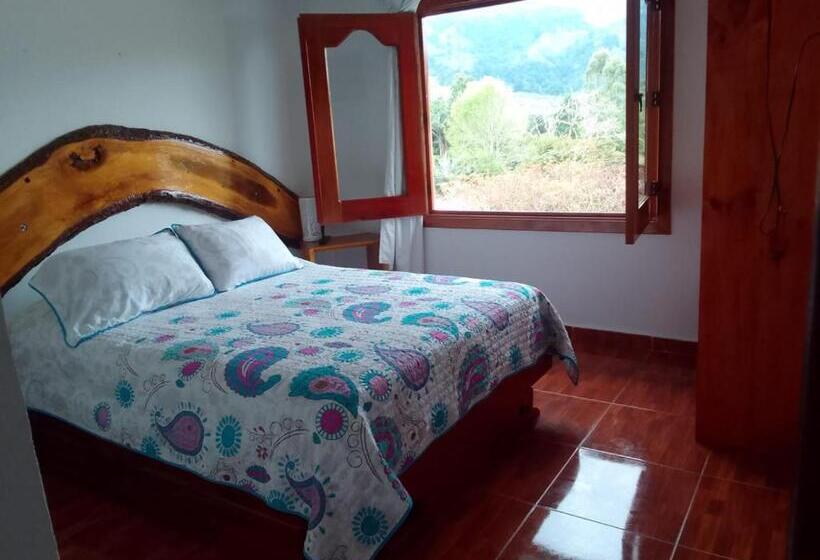 标准间带山景, Hospedaje Vista Hermosa Salento