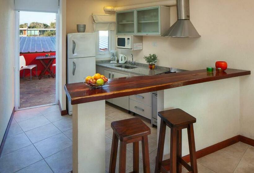 스탠다드 스튜디오 바다 전망, Altaplaya