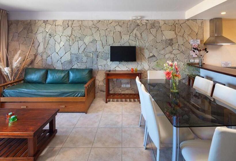 침실 1개 바다 전망 아파트, Altaplaya