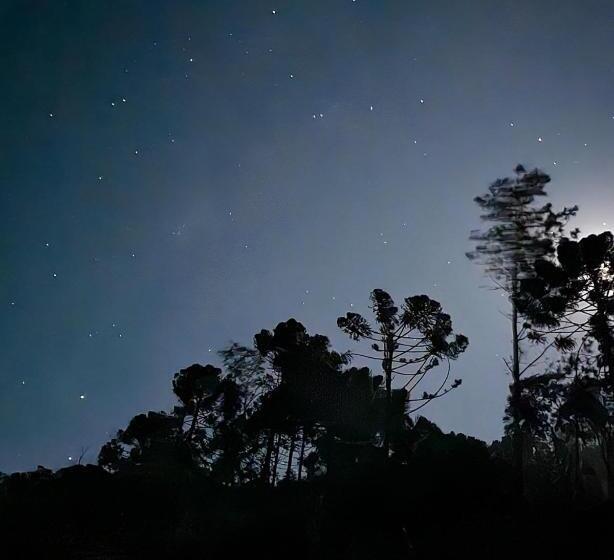 Standard Tent, Fazenda Boa Esperança