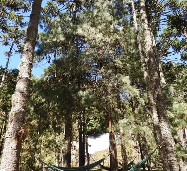 Standard Tent, Fazenda Boa Esperança