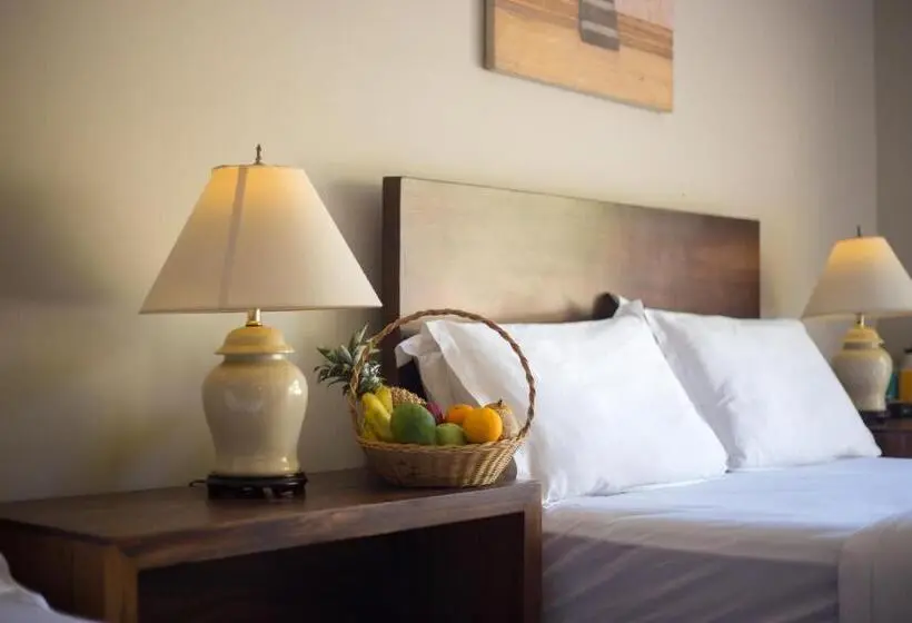 Mini Suite, Mount Havana