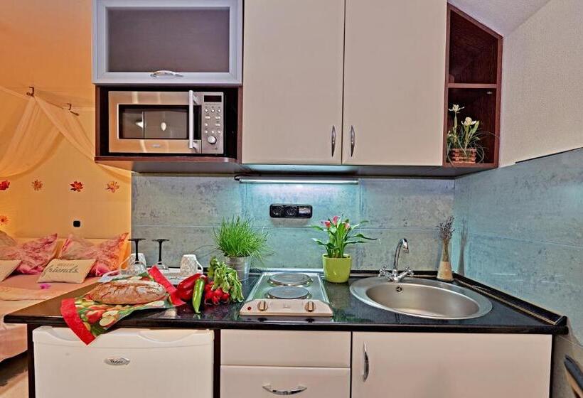 شقة ديلوكس غرفة واحدة, Vintiamo Apartmanok