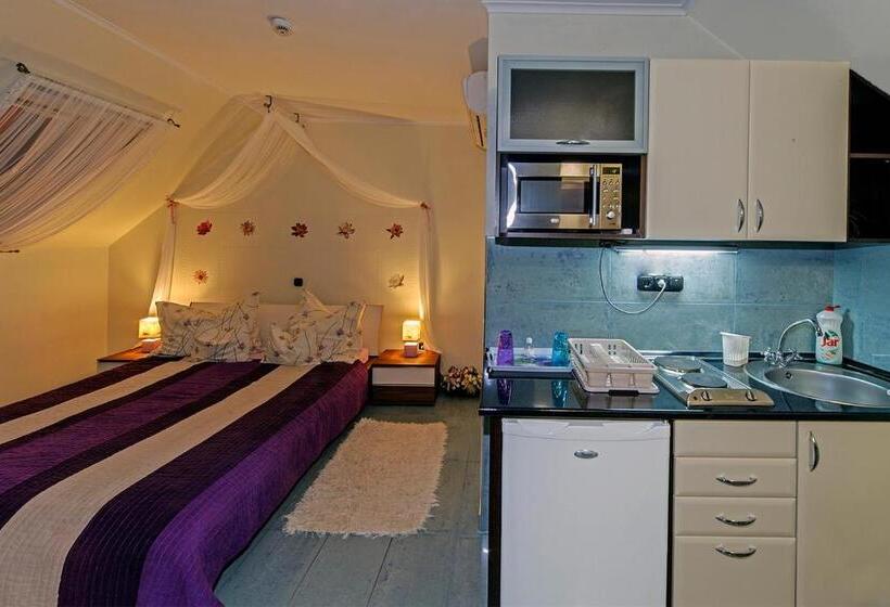 带1个卧室的豪华公寓, Vintiamo Apartmanok