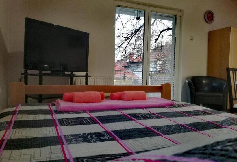 آپارتمان 1 خوابه با بالکن, Maslina Rooms