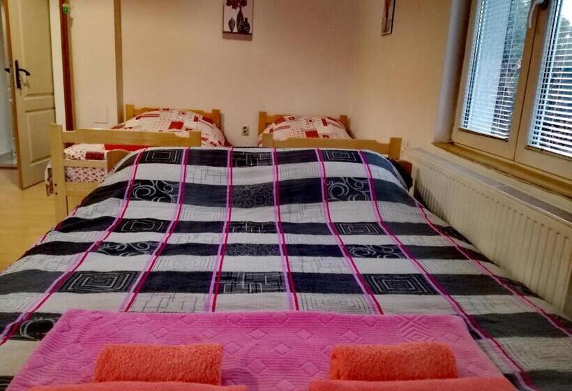 آپارتمان 1 خوابه با بالکن, Maslina Rooms