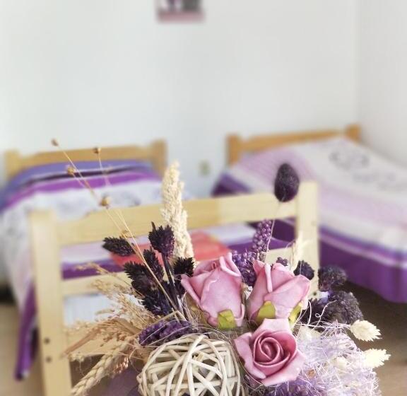 آپارتمان 1 خوابه با بالکن, Maslina Rooms