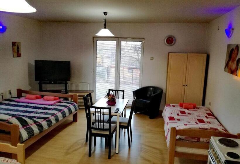 آپارتمان 1 خوابه با بالکن, Maslina Rooms