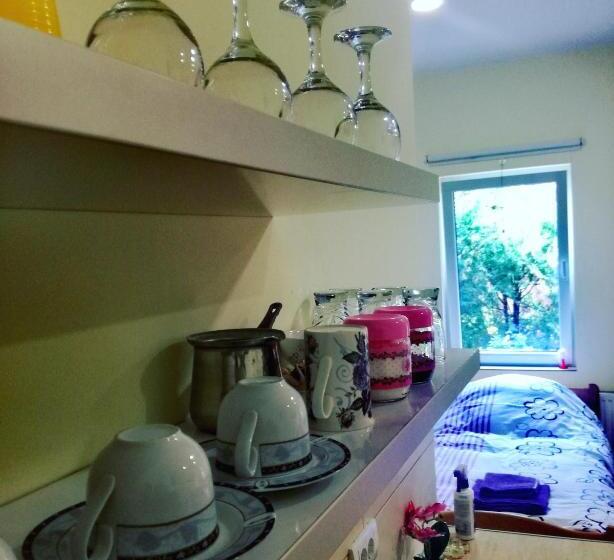 استودیو خانوادگی, Maslina Rooms