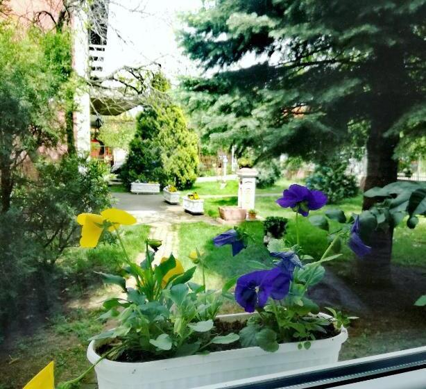 استودیو خانوادگی, Maslina Rooms