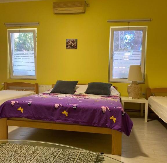 استودیو خانوادگی, Maslina Rooms