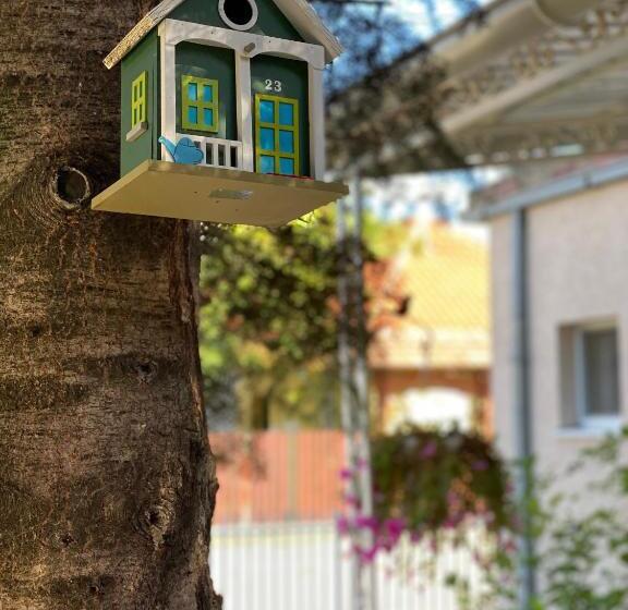 استودیوی لوکس, Maslina Rooms