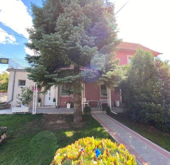 استودیوی لوکس, Maslina Rooms