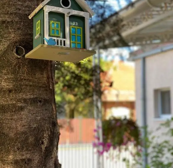 اتاق لوکس, Maslina Rooms