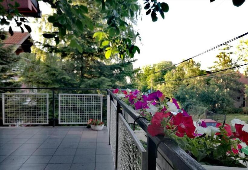 آپارتمان 1 خوابه با بالکن, Maslina Rooms