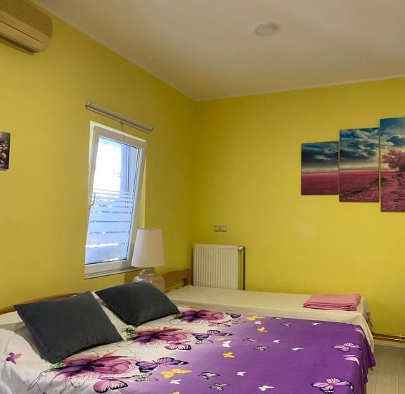 استودیو خانوادگی, Maslina Rooms