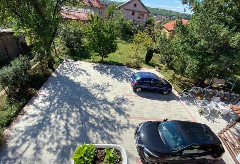 استودیو خانوادگی, Maslina Rooms