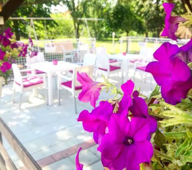 اتاق لوکس, Maslina Rooms