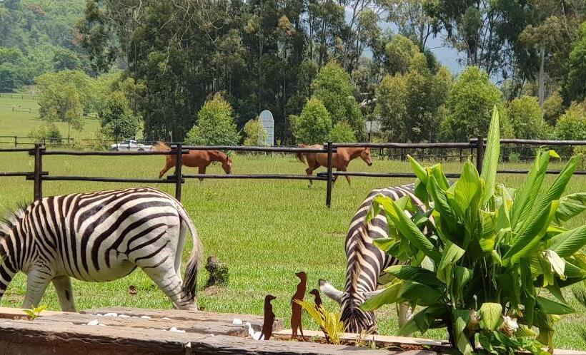 کلبه ییلاقی, Benka Lifestyle Country Cottages