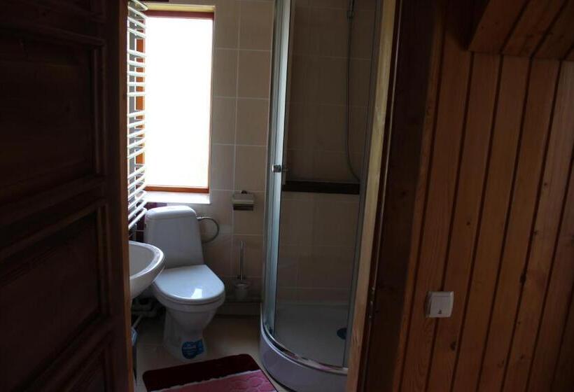 اتاق استاندارد, Goryanka