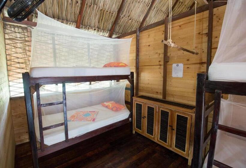공동 객실, Bella Flor Hostel Palomino