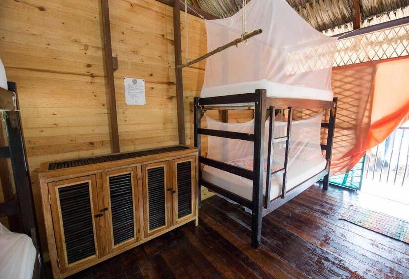 تختخواب در اتاق مشترک, Bella Flor Hostel Palomino
