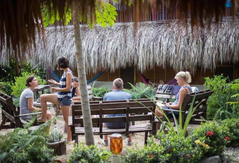 تختخواب در اتاق مشترک, Bella Flor Hostel Palomino