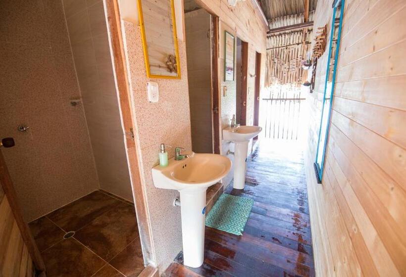 تختخواب در اتاق مشترک, Bella Flor Hostel Palomino