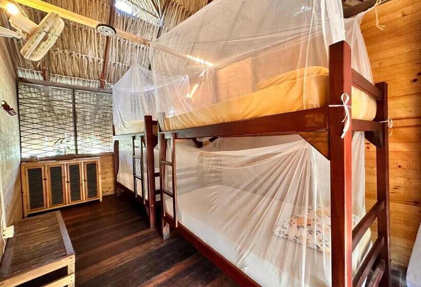 تختخواب در اتاق مشترک, Bella Flor Hostel Palomino