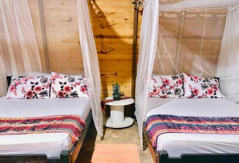 اتاق استاندارد, Bella Flor Hostel Palomino