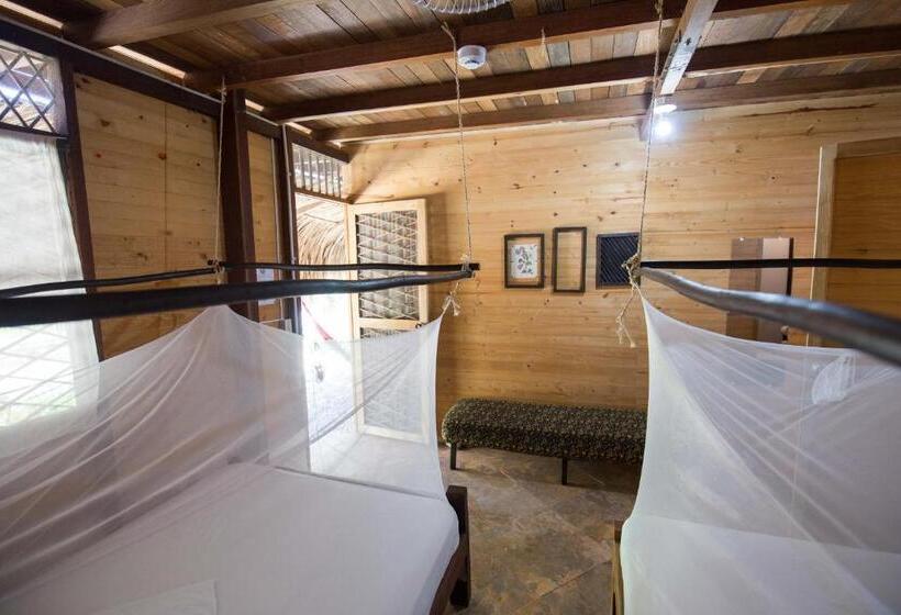 스탠다드 룸, Bella Flor Hostel Palomino