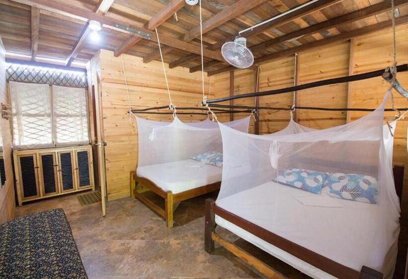 اتاق استاندارد, Bella Flor Hostel Palomino