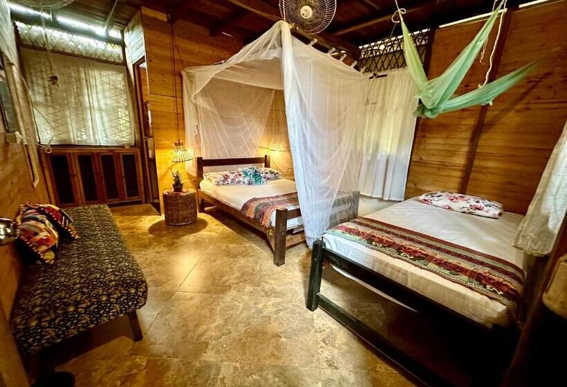 스탠다드 룸, Bella Flor Hostel Palomino
