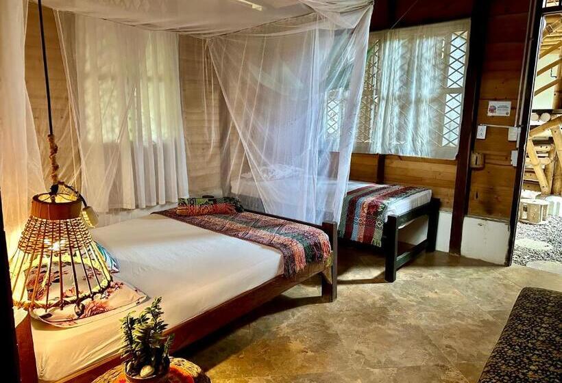 اتاق استاندارد, Bella Flor Hostel Palomino