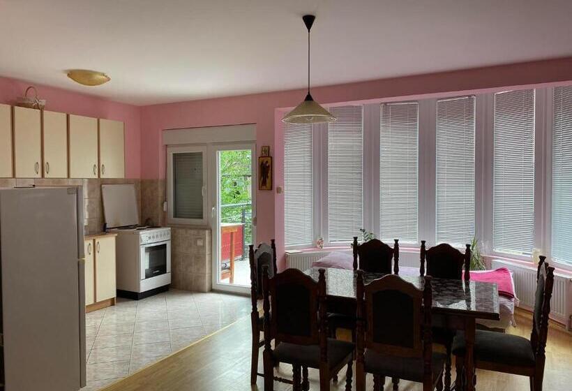 חדר סטודיו סטנדרד, Guest House Trajkovic