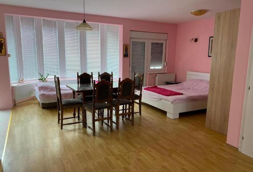 חדר סטודיו סטנדרד, Guest House Trajkovic